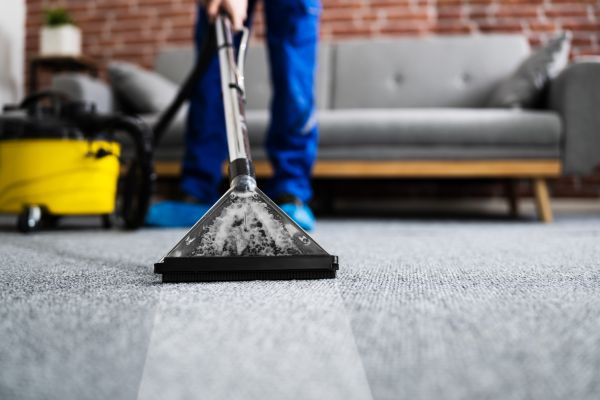 Residential Carpet Cleaning in Lockport
