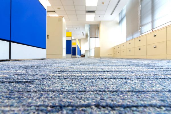 Business Carpet Cleaning in Lockport
