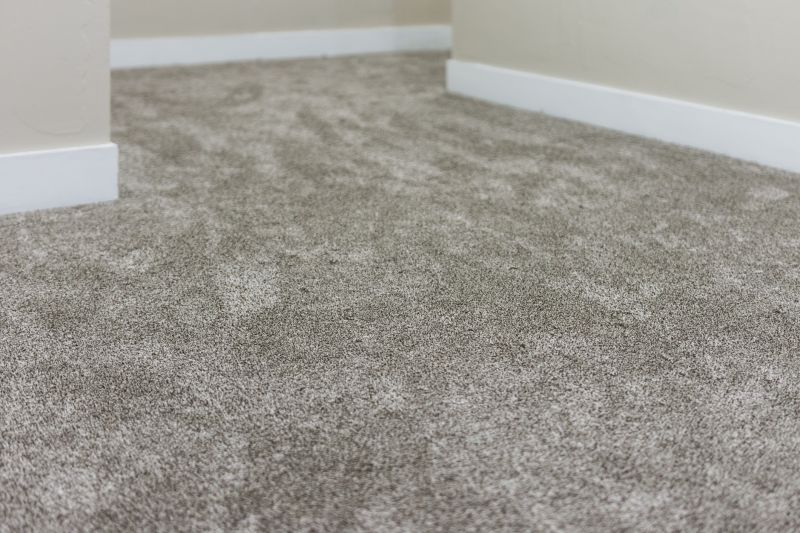 Pre-Winter Carpet Care