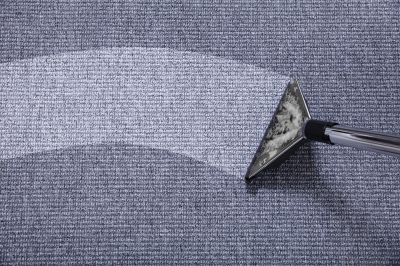 Local Carpet Cleaning Experts