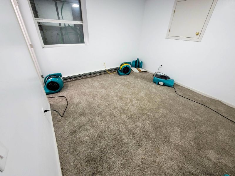 Emergency Carpet Cleaning